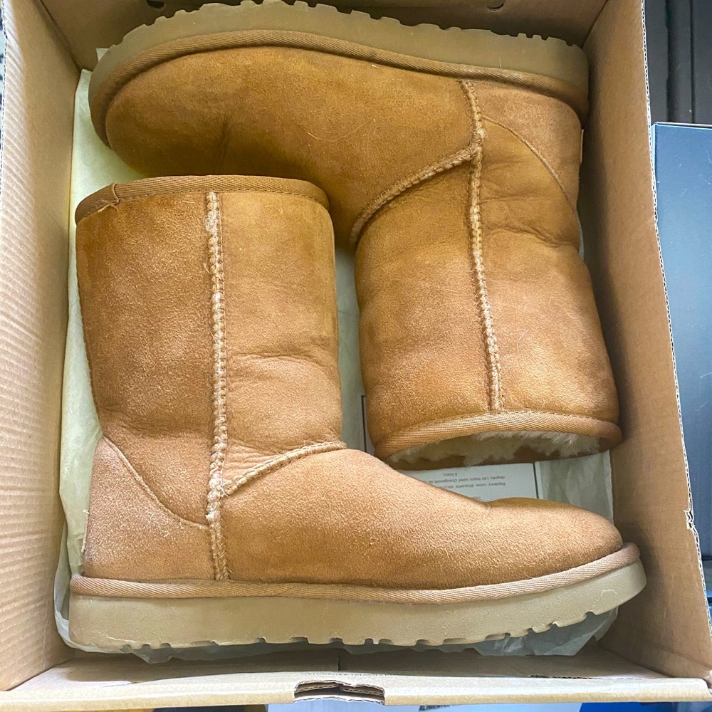 Chestnut Short Uggs